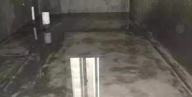10.jpg 10.jpg